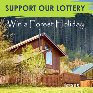 Win a £1000 Forest Holiday